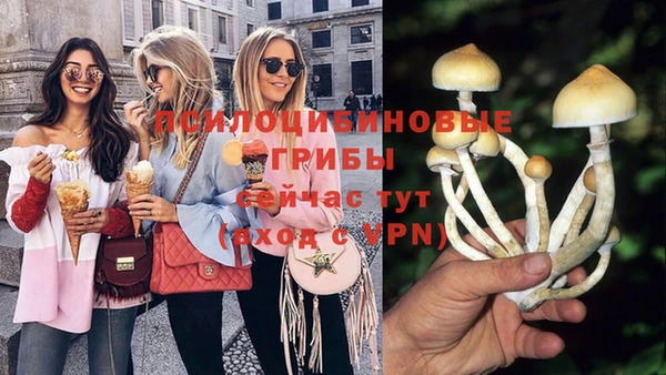 героин Дмитриев