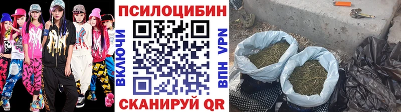 Купить где  Иноземцево  Галлюциногенные грибы мухоморы 